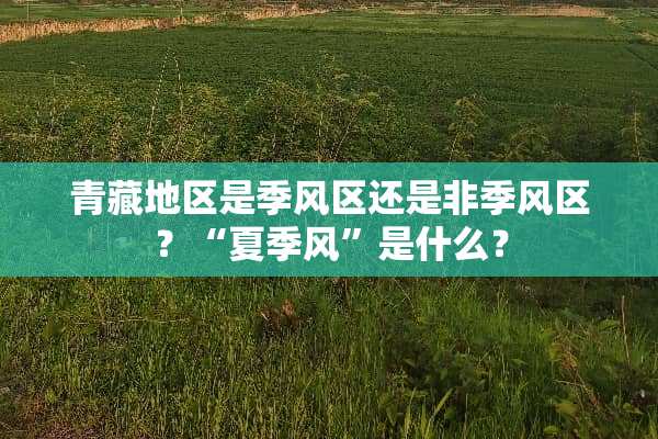 青藏地区是季风区还是非季风区？“夏季风”是什么？