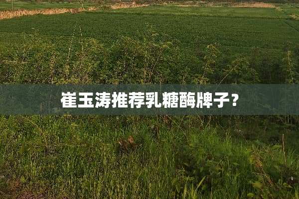 崔玉涛推荐*糖酶牌子？