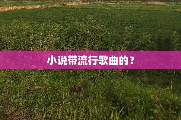 小说带流行歌曲的？