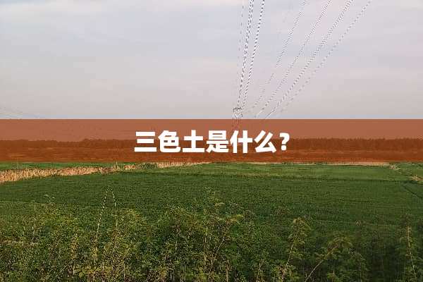 三色土是什么？