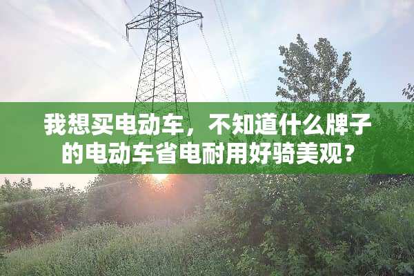我想买电动车，不知道什么牌子的电动车省电耐用好骑美观？