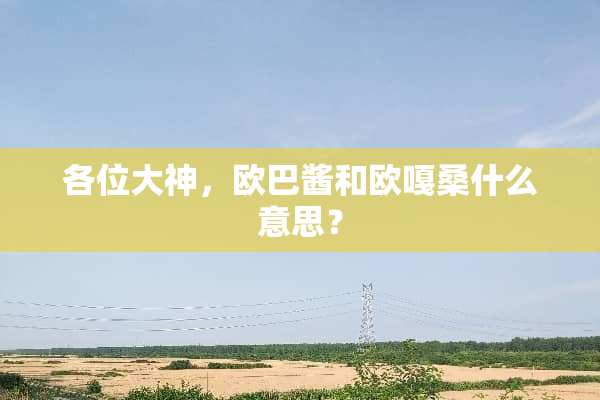 各位大神，欧巴酱和欧嘎桑什么意思？