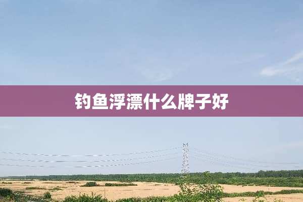 钓鱼浮漂什么牌子好