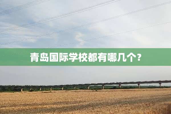 青岛国际学校都有哪几个？