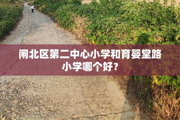 闸北区第二中心小学和育婴堂路小学哪个好？
