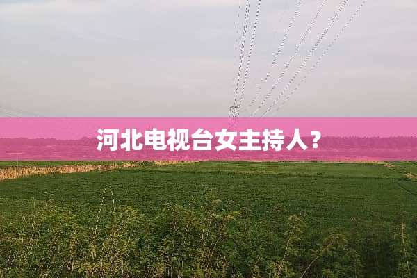 河北电视台女主持人？