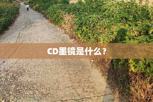 CD墨镜是什么？