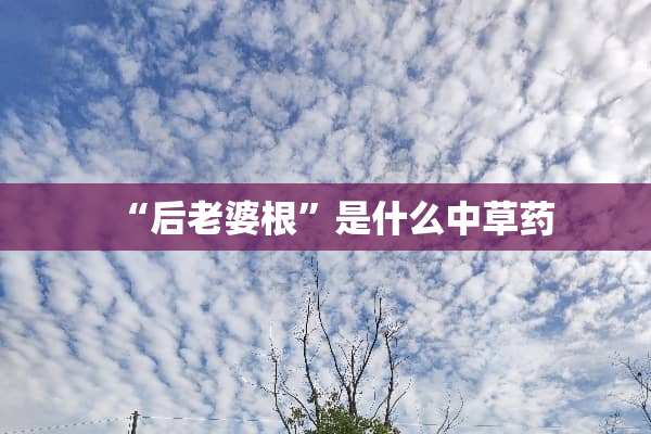 “后老婆根”是什么中草药