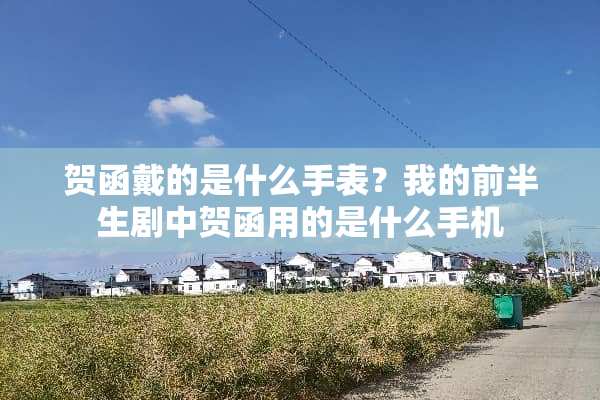 贺函戴的是什么手表？我的前半生剧中贺函用的是什么手机