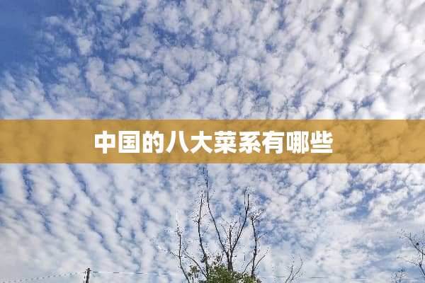 中国的八大菜系有哪些