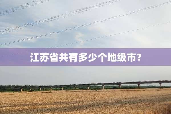 江苏省共有多少个地级市？