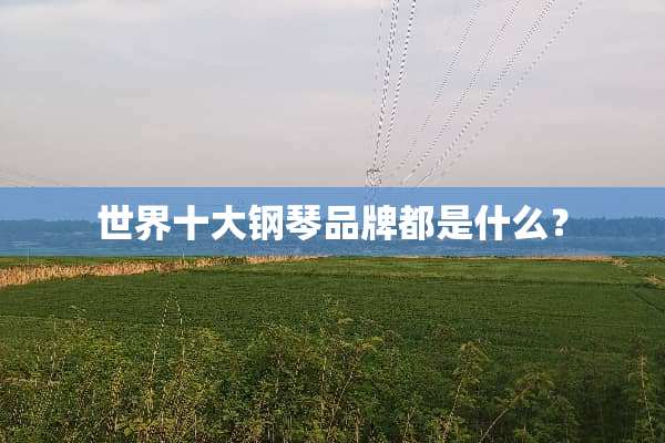 世界十大钢琴品牌都是什么？