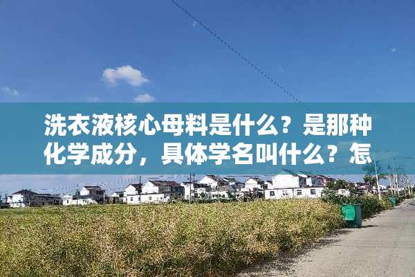洗衣液核心母料是什么？是那种化学成分，具体学名叫什么？怎么才能卖到