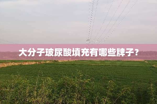 大分子玻尿酸填充有哪些牌子？