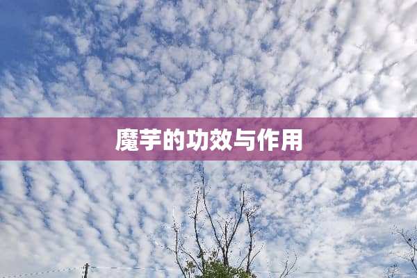 魔芋的功效与作用