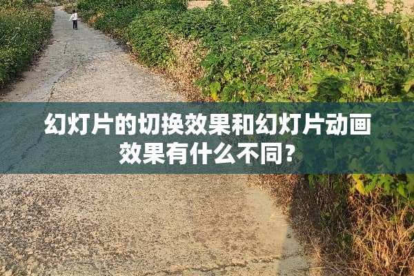 幻灯片的切换效果和幻灯片动画效果有什么不同？