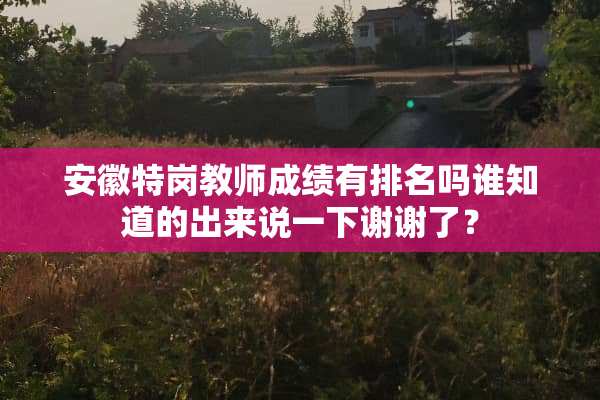 安徽特岗教师成绩有排名吗谁知道的出来说一下谢谢了？