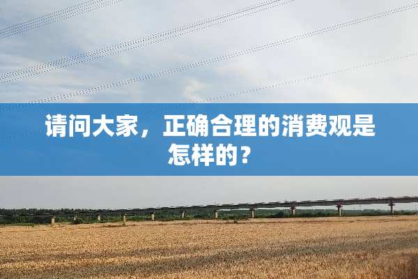 请问大家，正确合理的消费观是怎样的？