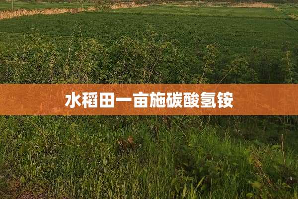 水稻田一亩施碳酸氢铵