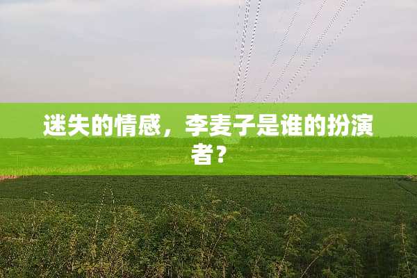 迷失的情感，李麦子是谁的扮演者？