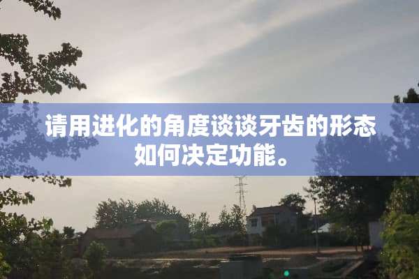 请用进化的角度谈谈牙齿的形态如何决定功能。