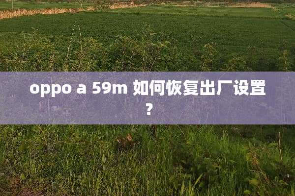 oppo a 59m 如何恢复出厂设置？