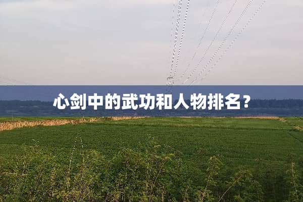 心剑中的武功和人物排名？