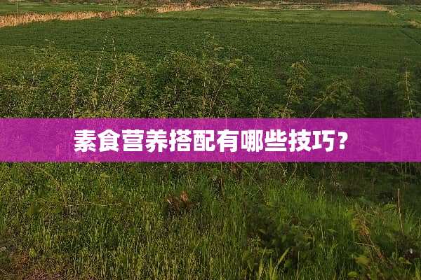 素食营养搭配有哪些技巧？