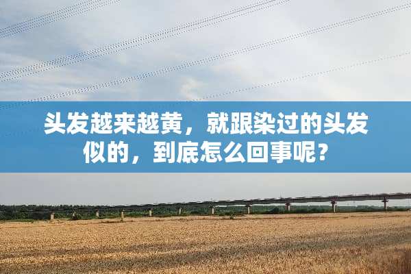 头发越来越黄，就跟染过的头发似的，到底怎么回事呢？