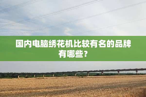 国内电脑绣花机比较有名的品牌有哪些？