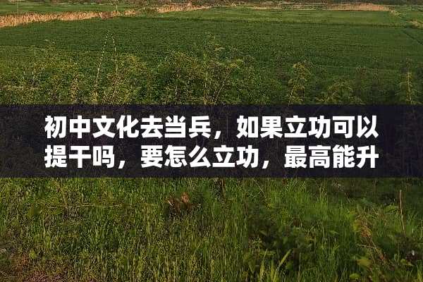 初中文化去当兵，如果立功可以提干吗，要怎么立功，最高能升到什么军衔。