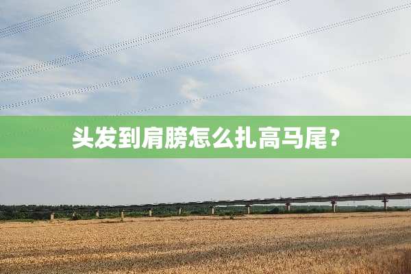 头发到肩膀怎么扎高马尾？