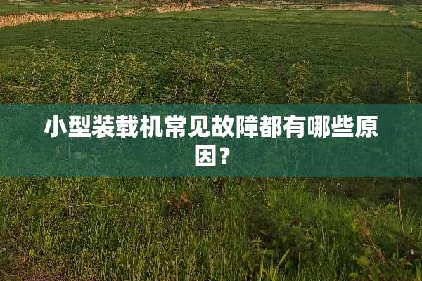小型装载机常见故障都有哪些原因？
