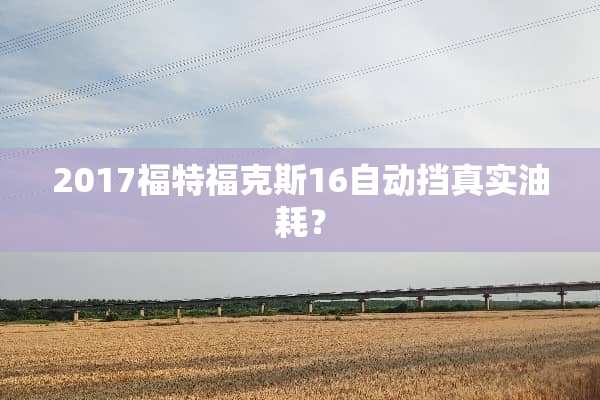 2017福特福克斯16自动挡真实油耗？