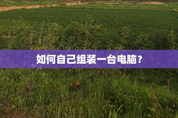 如何自己组装一台电脑？