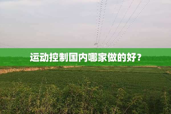 运动控制国内哪家做的好？