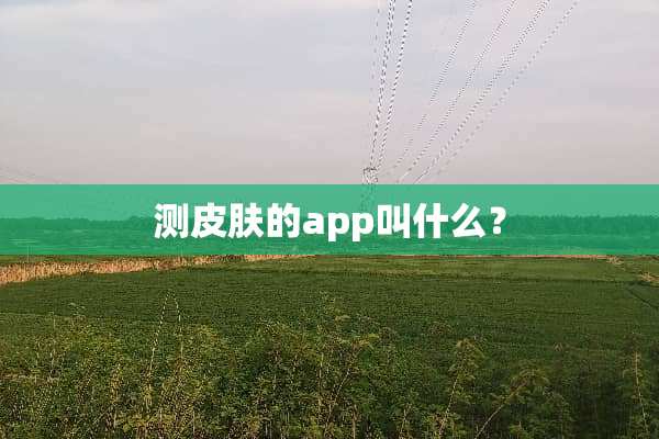 测皮肤的app叫什么？