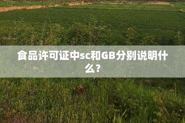 食品许可证中sc和GB分别说明什么？