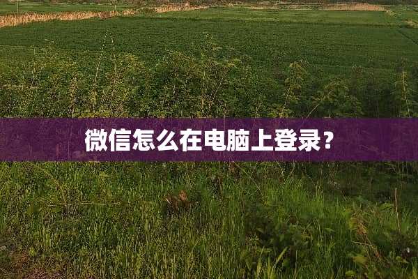 微信怎么在电脑上登录？