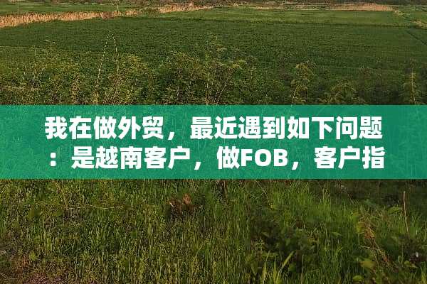 我在做外贸，最近遇到如下问题：是越南客户，做FOB，客户指定船公司。
