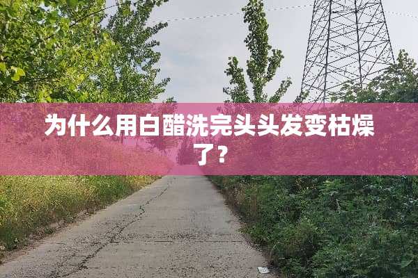 为什么用白醋洗完头头发变枯燥了？