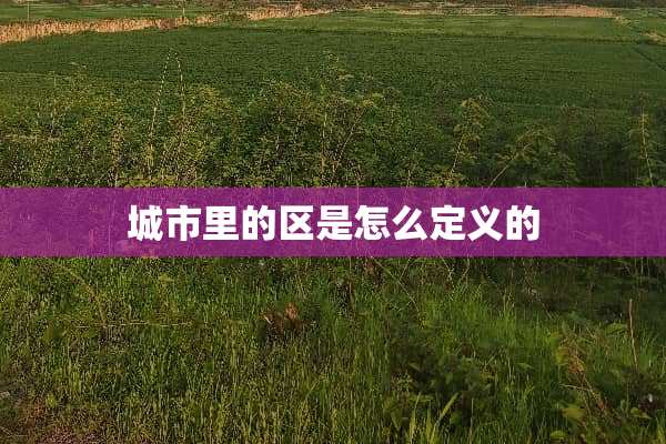 城市里的区是怎么定义的