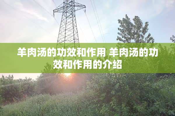 羊肉汤的功效和作用 羊肉汤的功效和作用的介绍