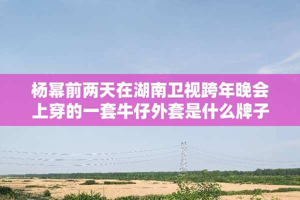 杨幂前两天在湖南卫视跨年晚会上穿的一套牛仔外套是什么牌子的？