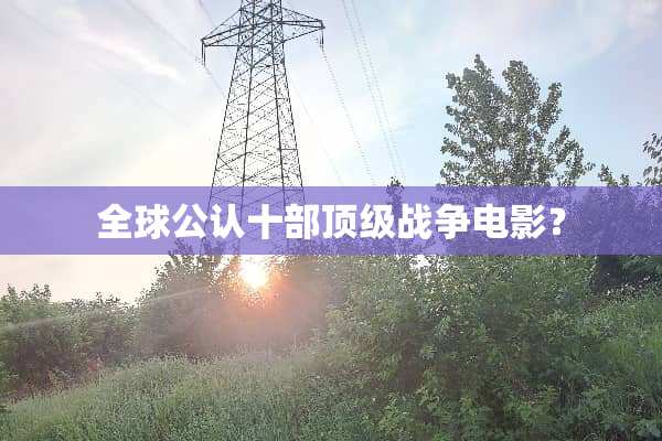全球公认十部**战争电影？