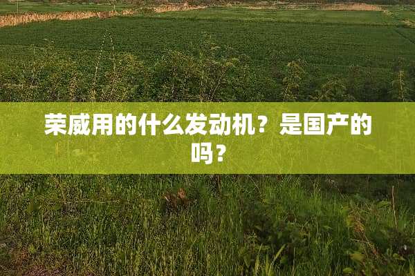 荣威用的什么发动机？是国产的吗？
