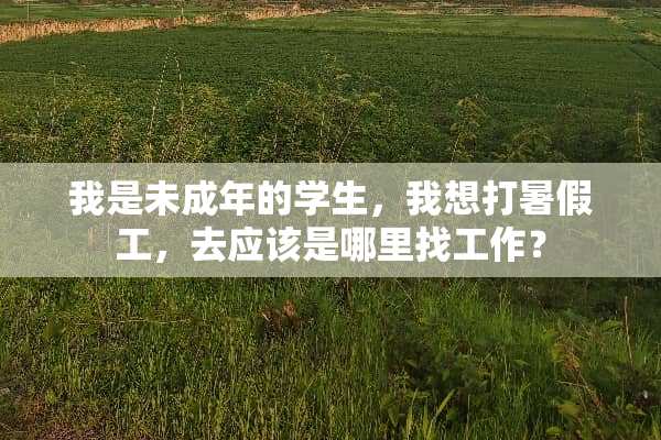 我是未成年的学生，我想打暑假工，去应该是***工作？