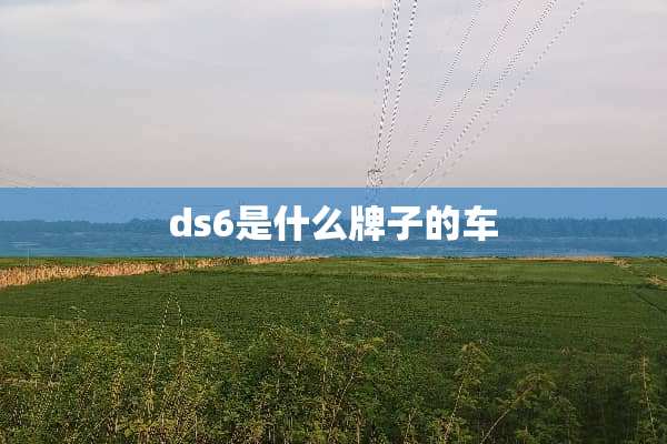 ds6是什么牌子的车