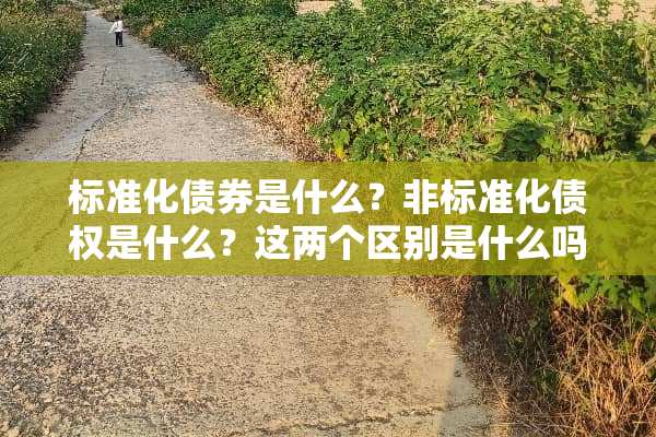 标准化债券是什么？非标准化债权是什么？这两个区别是什么吗？