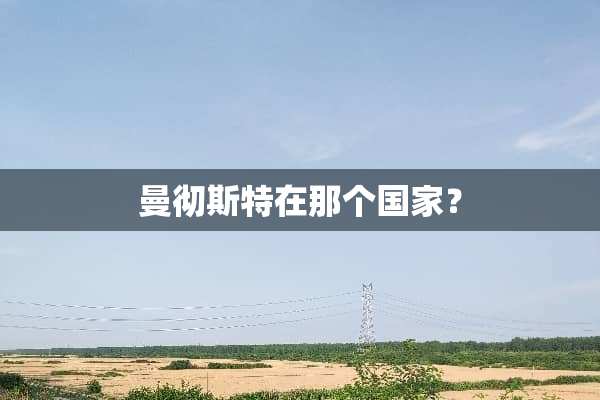 曼彻斯特在那个国家？